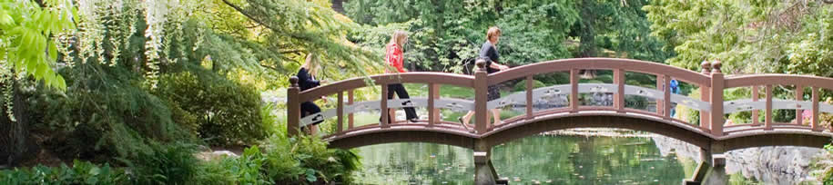 A group of people walk across a bridge near a forest backdrop.
