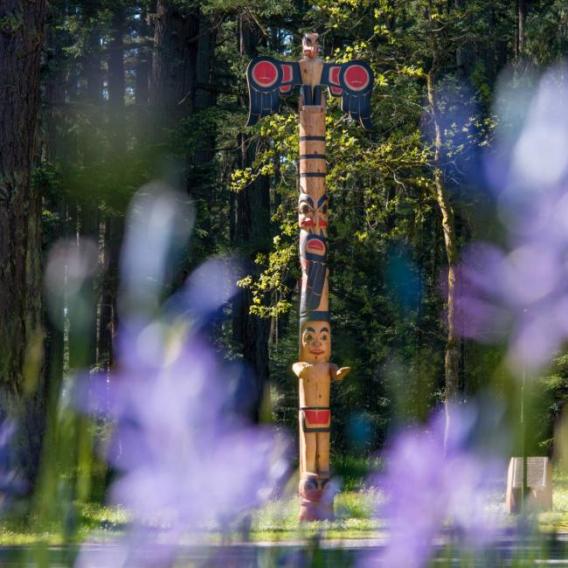 Sael totem pole seen through purple flowers at RRU