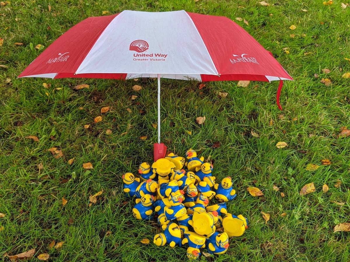 rubber ducks sitting under a united way umbrella