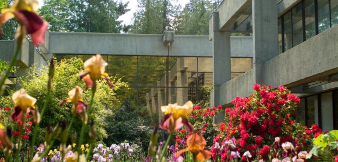 flowers outside library