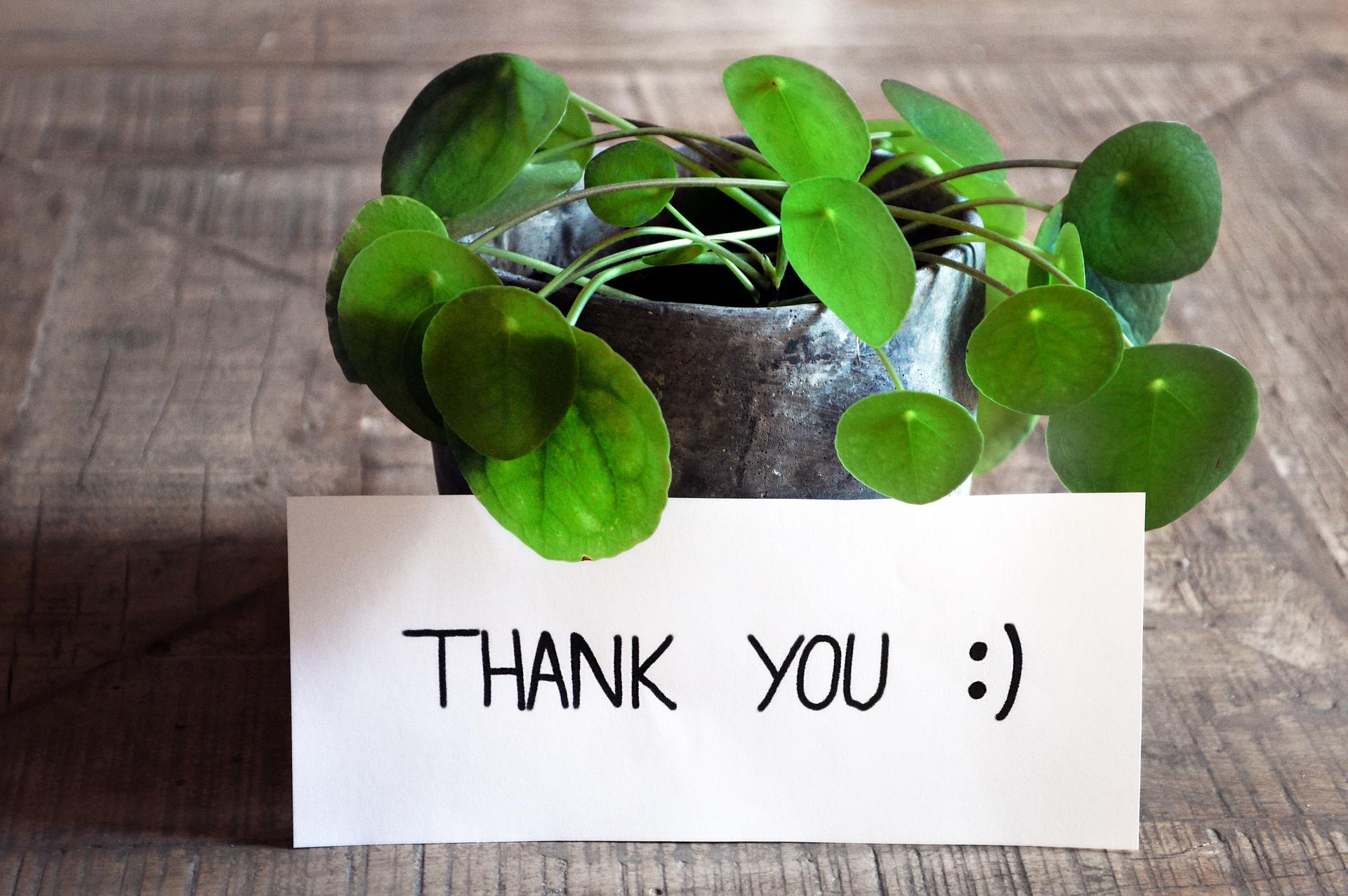 Decorative: thank you