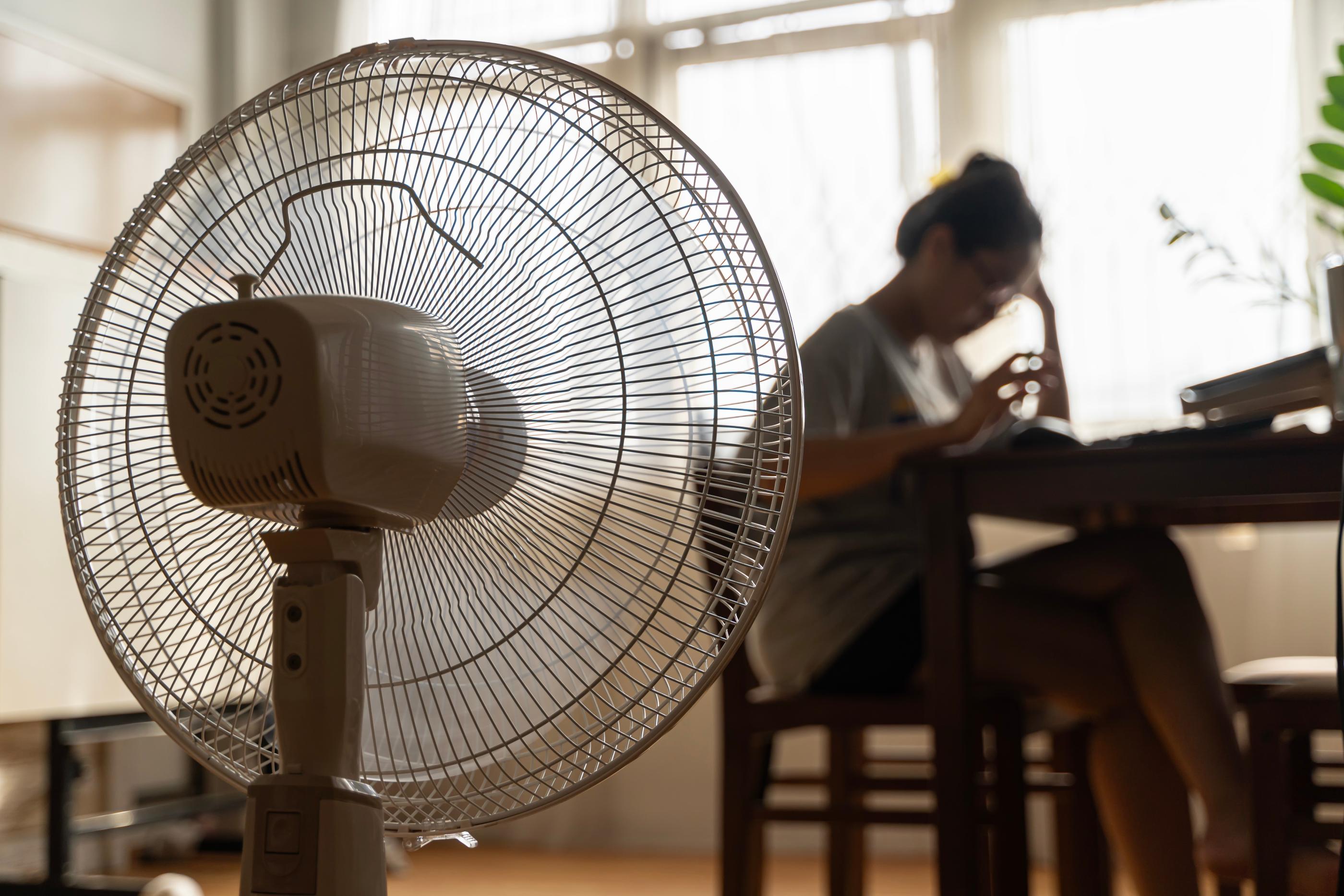 A person sits at a table in a sunlit room while a large electric fan runs in the foreground. The scene reflects efforts to stay cool during hot weather.