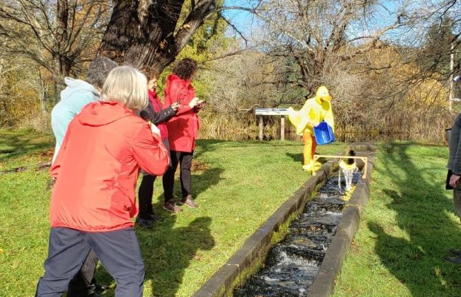 people watching a duck race with person dressed in duck costume