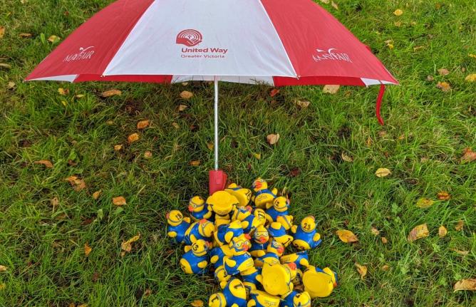 rubber ducks sitting under a united way umbrella