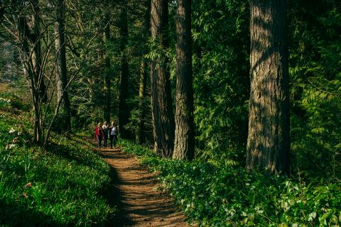 People-walking-in-forest-on-RRU-campus