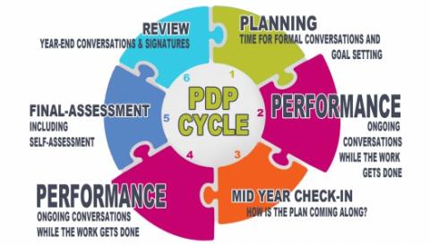 Graphic showing PDP cycle