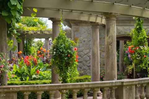 Italian Garden flowers and loggia