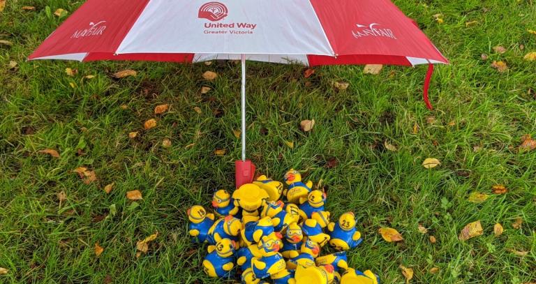 rubber ducks sitting under a united way umbrella