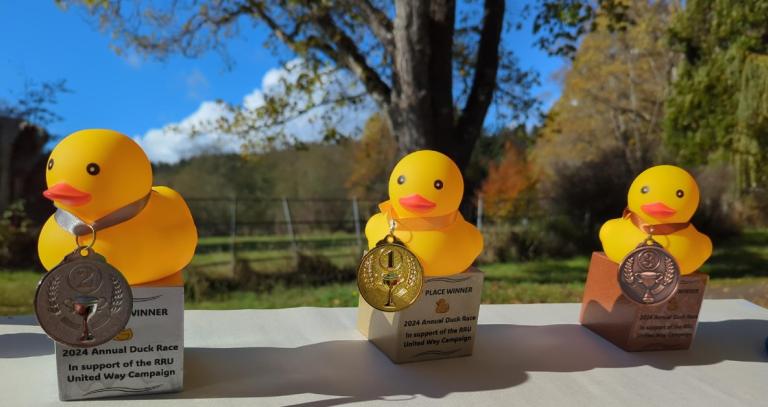 Three trophies with yellow rubber rucks on top - gold, silver and bronze.