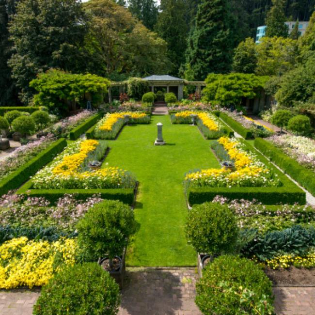 photo of garden